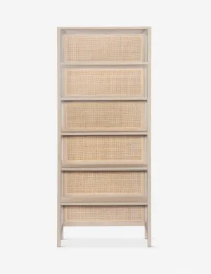 Philene Bookcase