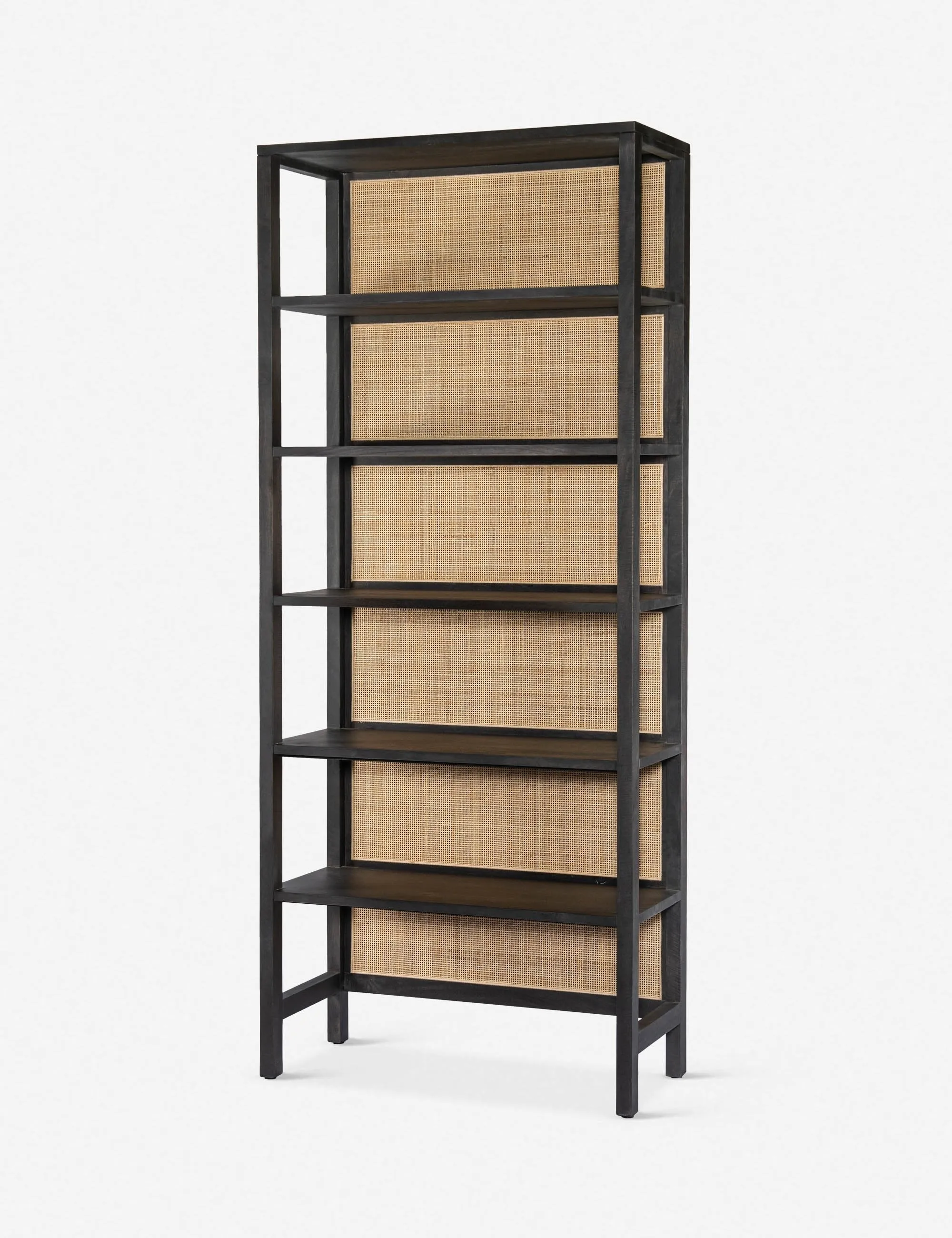 Philene Bookcase