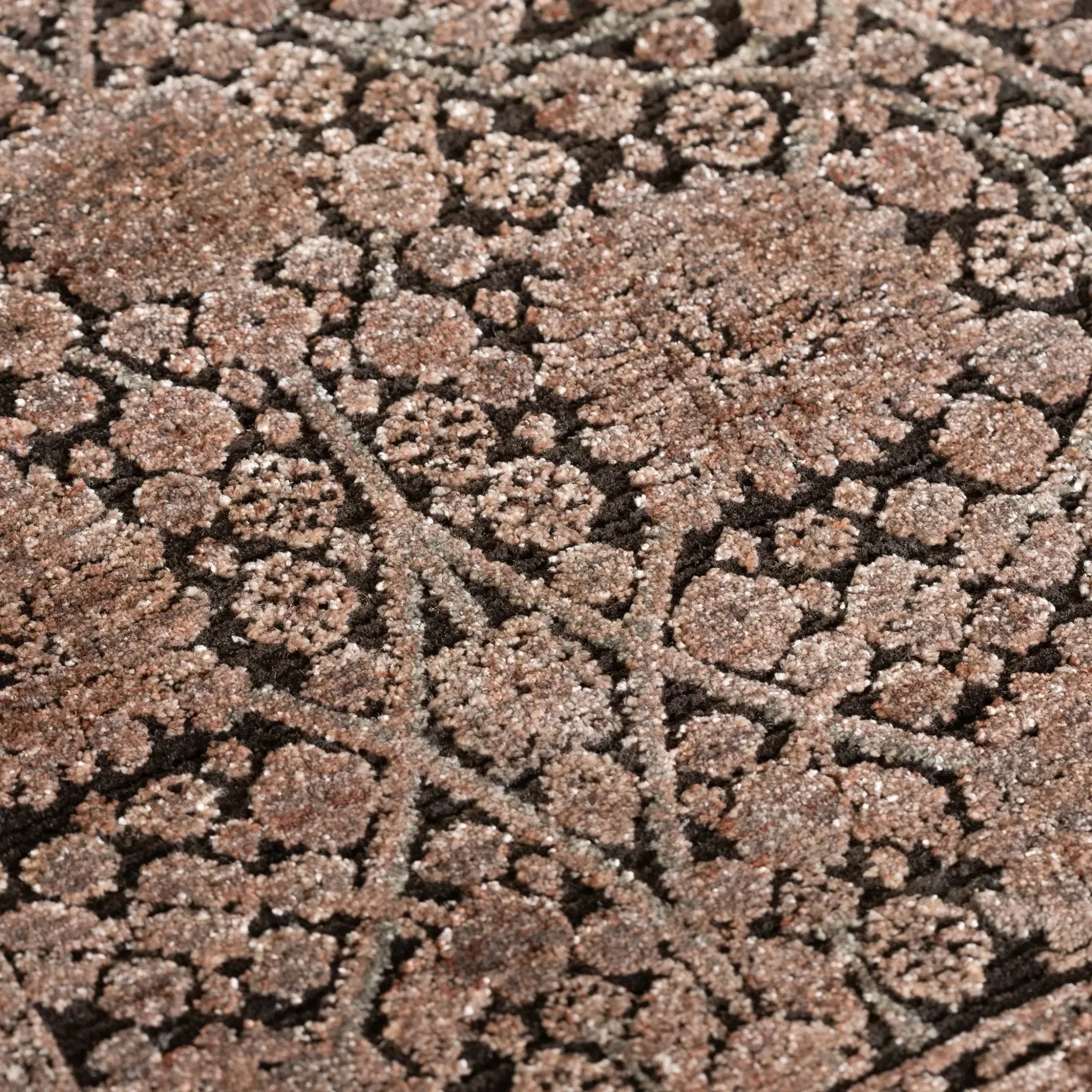 Vizcia VZ1 Brown Rug